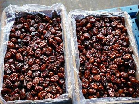 اهداء بیش از ٩٠٠ بسته معیشتی به مددجویان بندرعباسی 