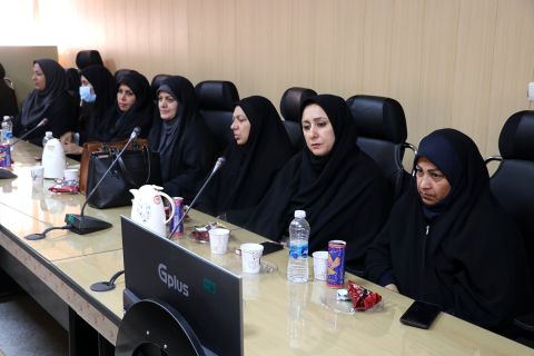 مراسم تجلیل تجلیل از مدیران نیکوکار مدارس همدل استان هرمزگان - 1403/08/15