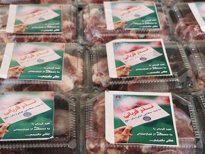 توزیع گوشت قربانی بین سه ‌هزار و ۵۶۲ خانواده نیازمند قشمی